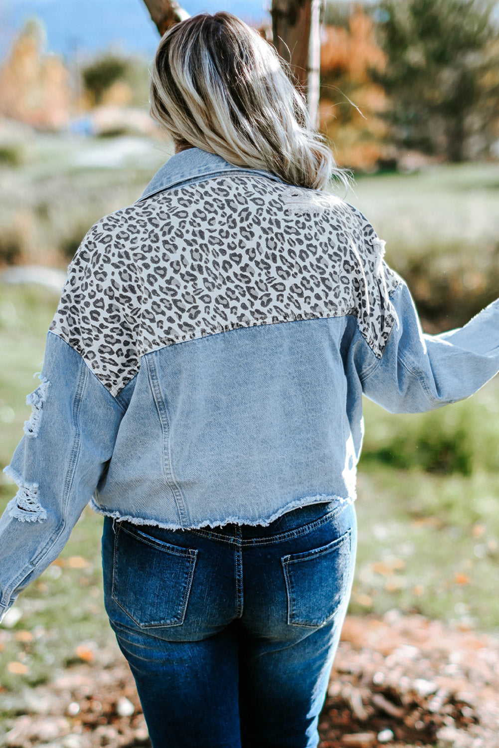 Boho Lane Australia Blue Plus Size Leopard Ripped Cropped Denim Jacket