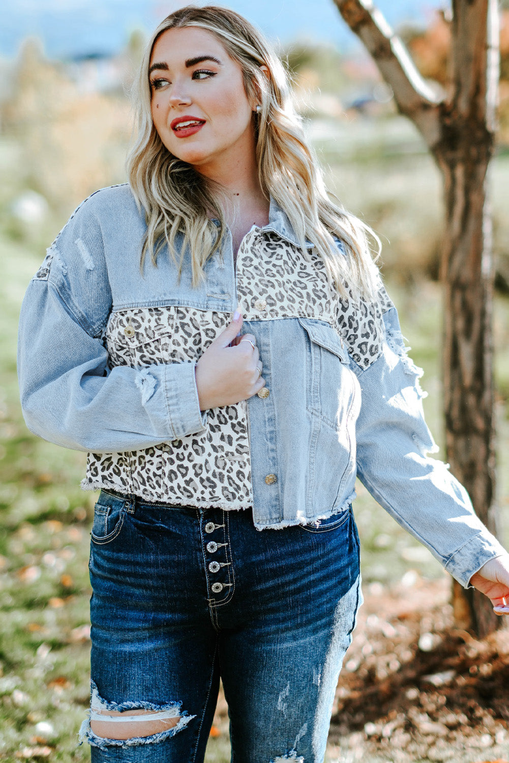 Boho Lane Australia Blue Plus Size Leopard Ripped Cropped Denim Jacket