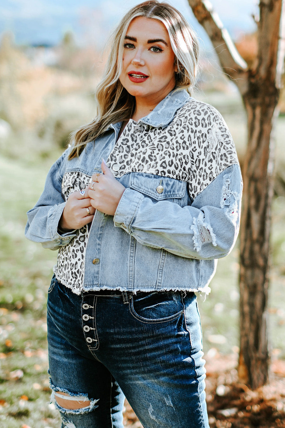 Boho Lane Australia Blue Plus Size Leopard Ripped Cropped Denim Jacket